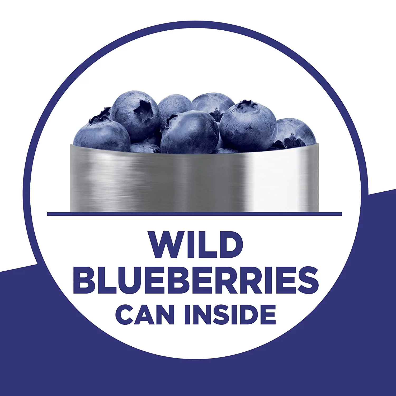 Wild Blueberry Mix, 17.1 OZ (Pack Of 12)