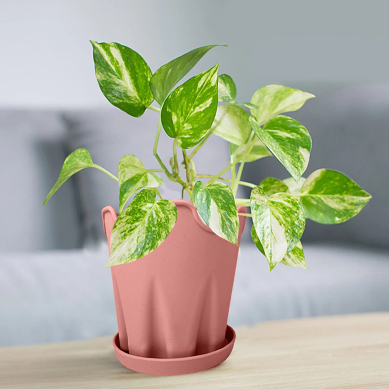 NLLSHGJ Simple Silicone Flower Pot Creative Desktop Round office Decoration with Tray Orchid Garden Potted