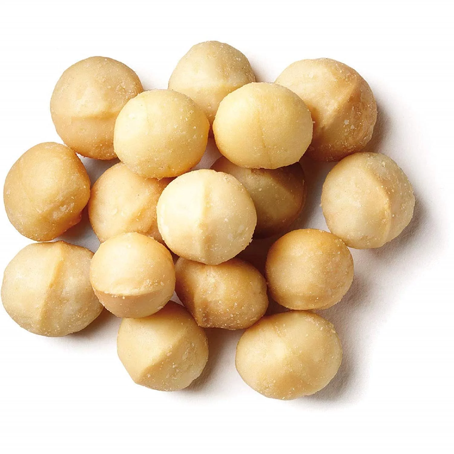 Raw Natural Jumbo Macadamia Nuts (25 Lbs) | Farm Fresh Nuts