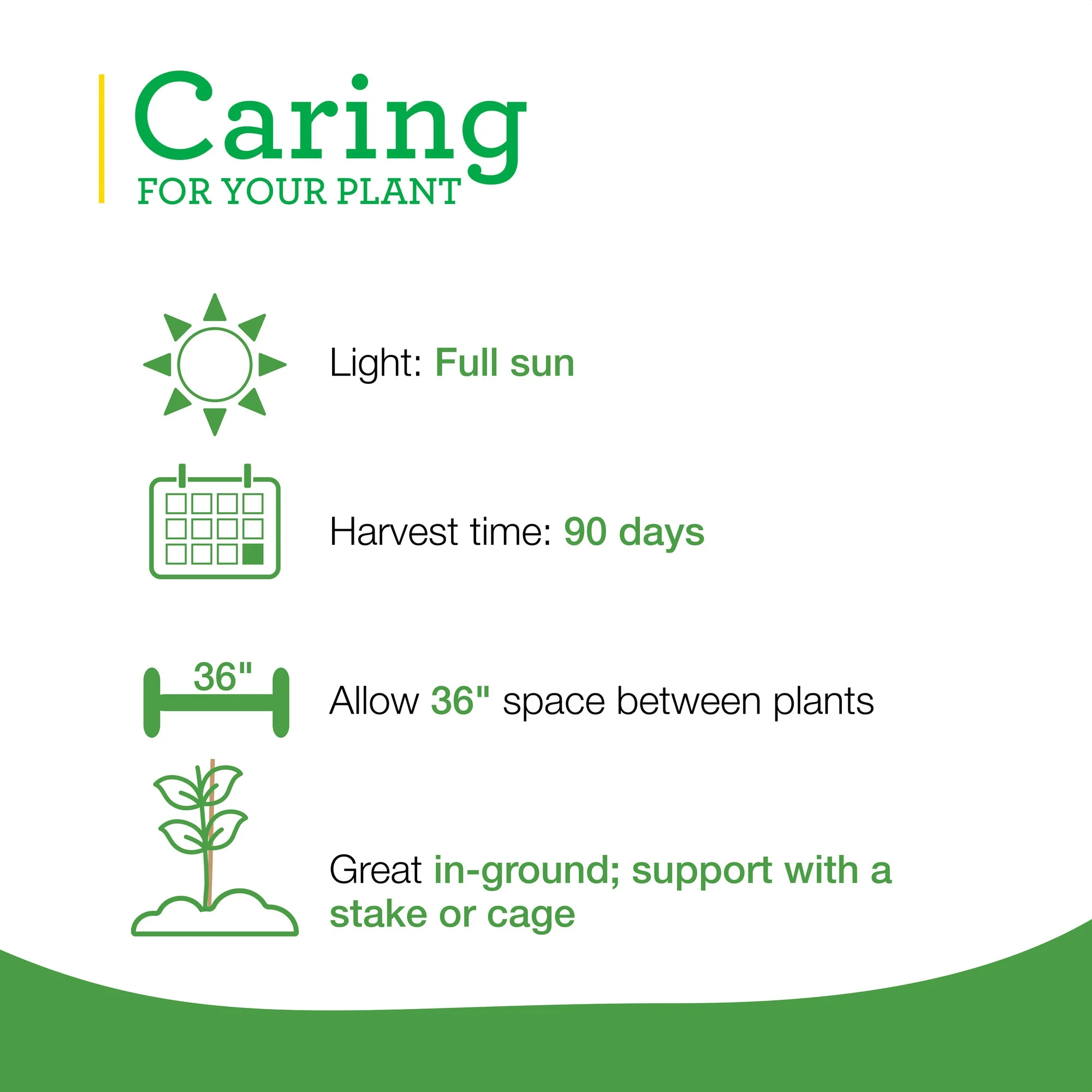 Bonnie Plants Red Beefsteak Tomato 2.5 gal. Cage, Live Plant