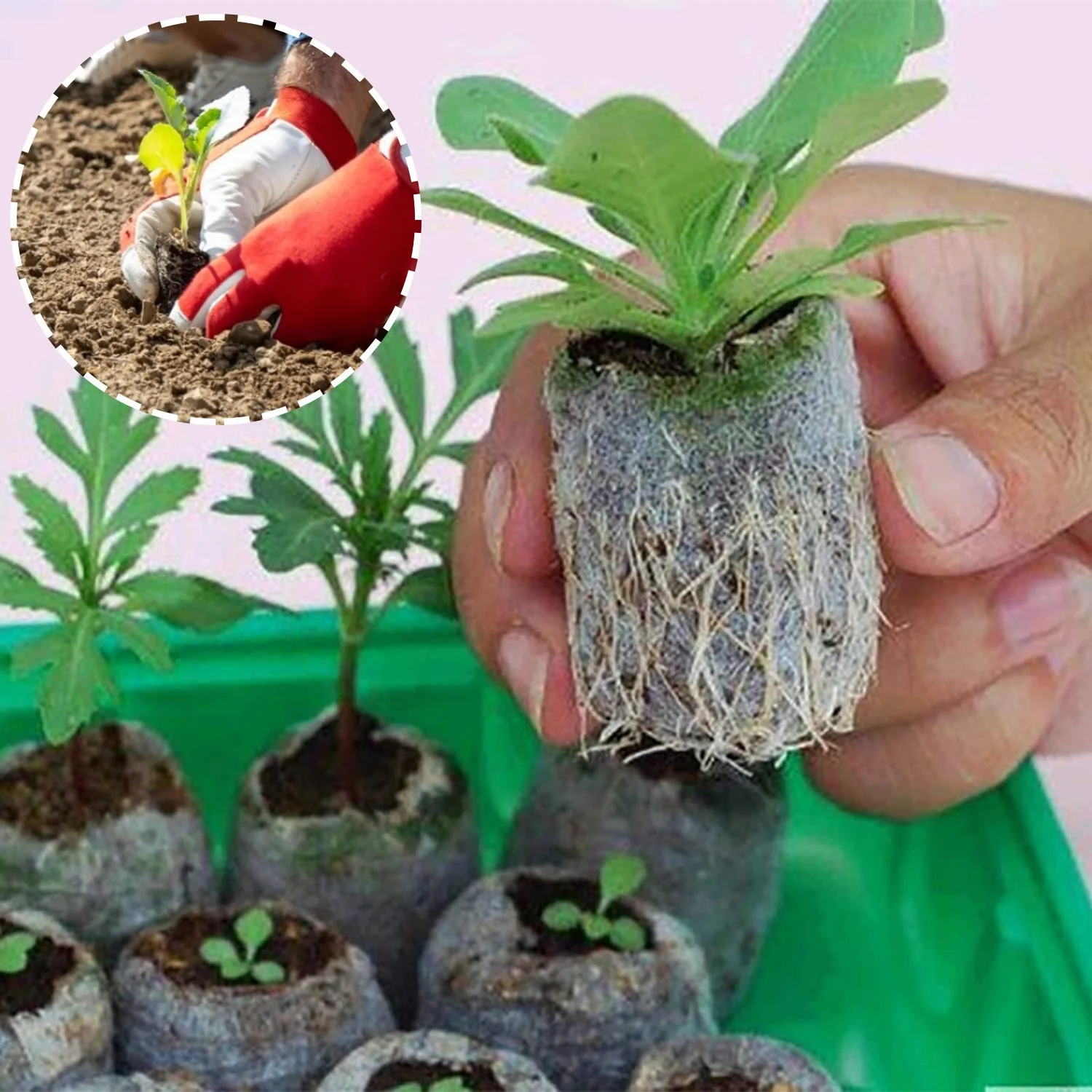 LLQkigsxse Garden Irrigation Hose Pellets Starting Plugs Pallet Seedling So il Block Easy to Operate Mens Birthday Gift Ideas