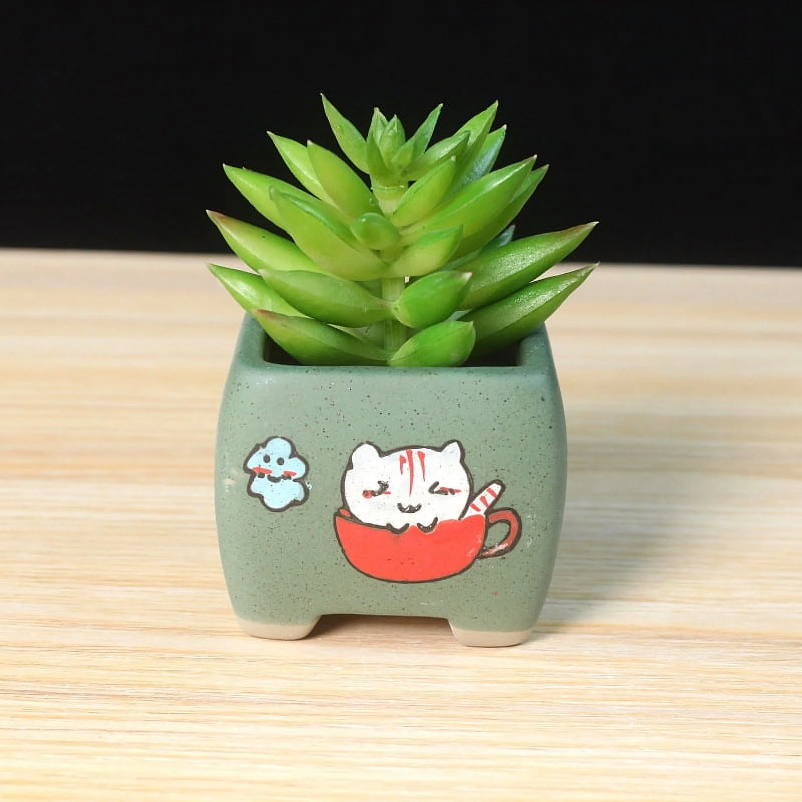 LivNxt Hand-Painted Cartoon Ceramic Succulent Planter - Succulent Plant Pot Nursery Pot Ceramic Planter Desktop Potted Plant