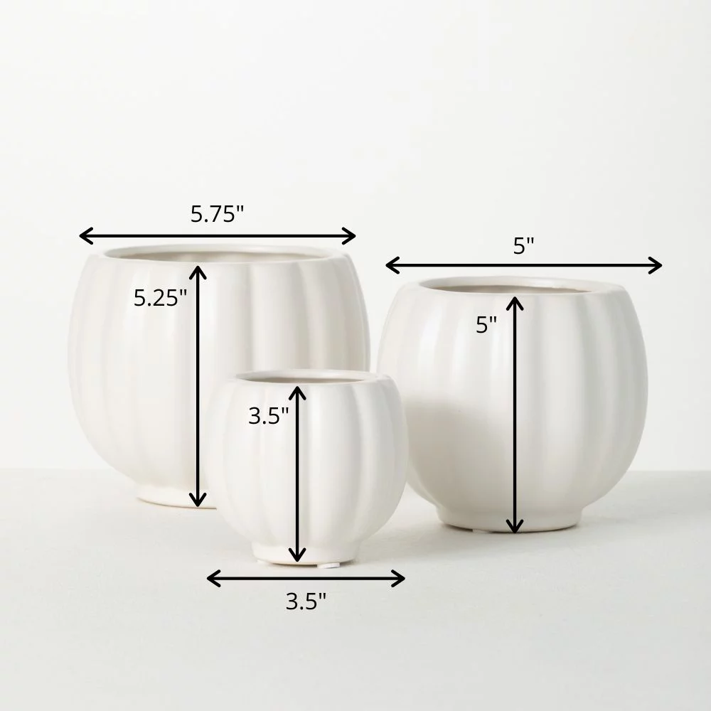 Sullivans White Ribbed Ceramic Planter Set of 3, 5.25