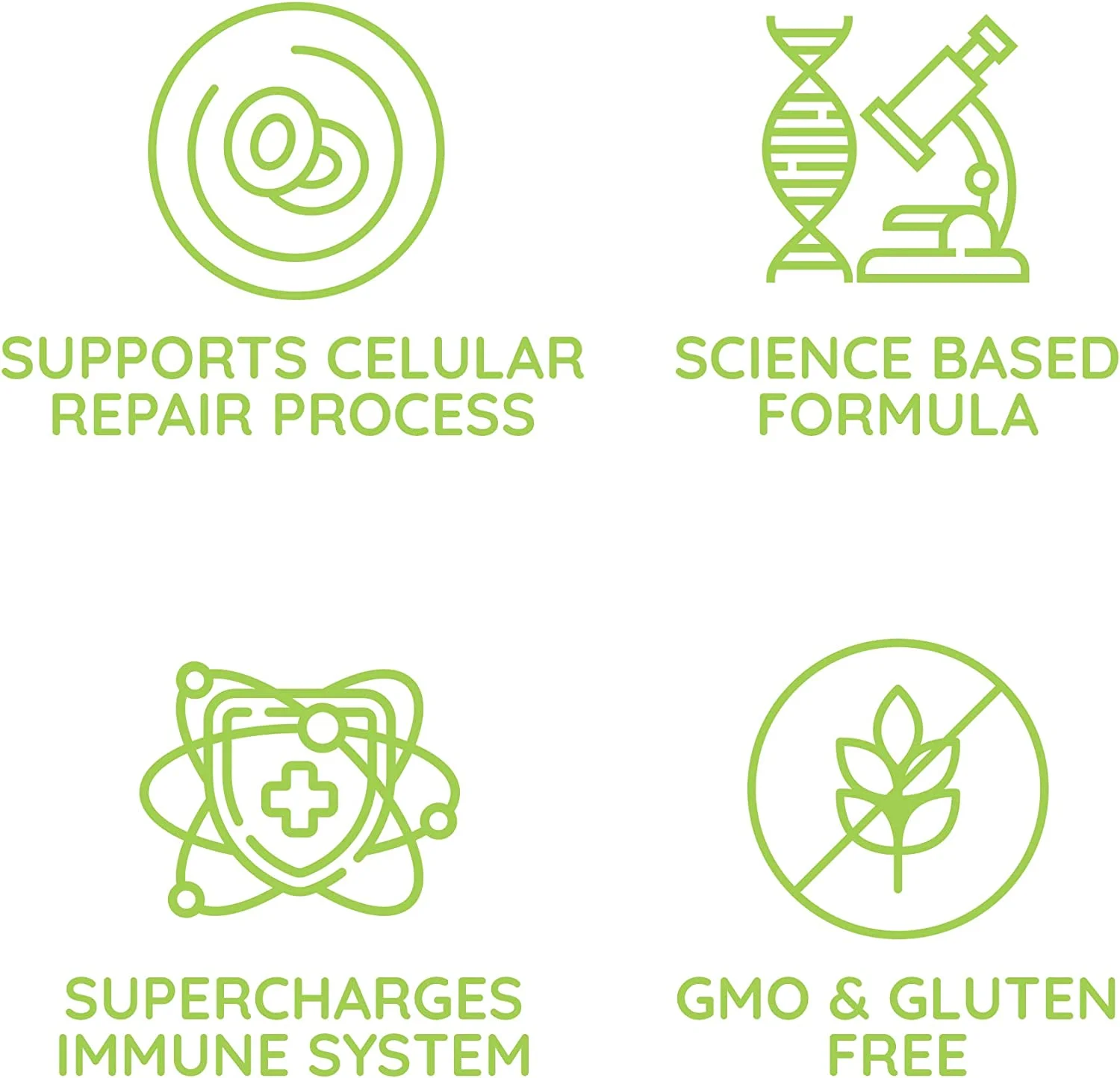 Beljanski® - Ginkgo V® Dietary Supplement - Ginkgo Biloba Extract - 100 Capsules