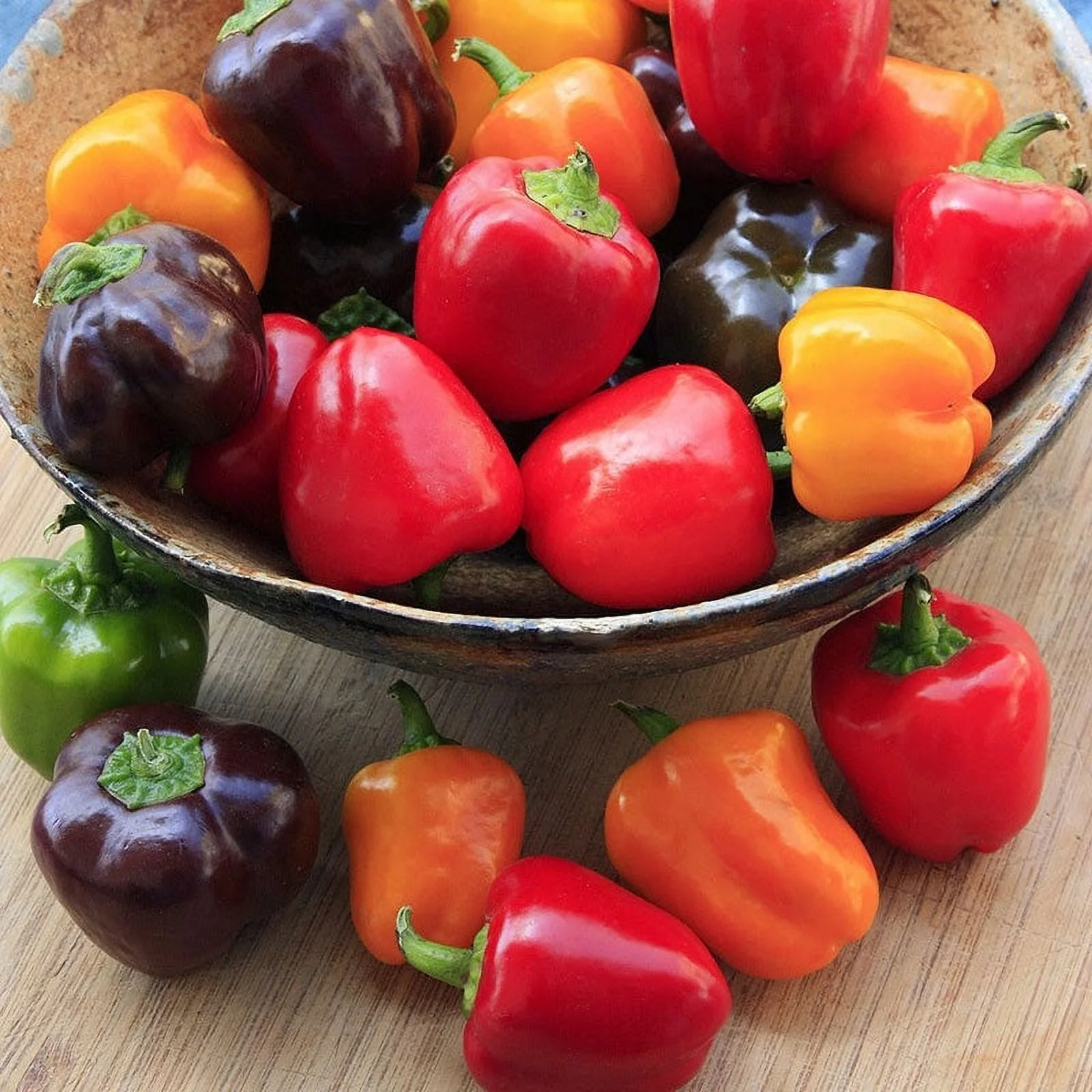 Sweet Pepper Seeds - Mini Bell Blend - 1/4 Pound -  Vegetable Seeds,  Heirloom Seed  Easy to Grow & Maintain, Container Garden