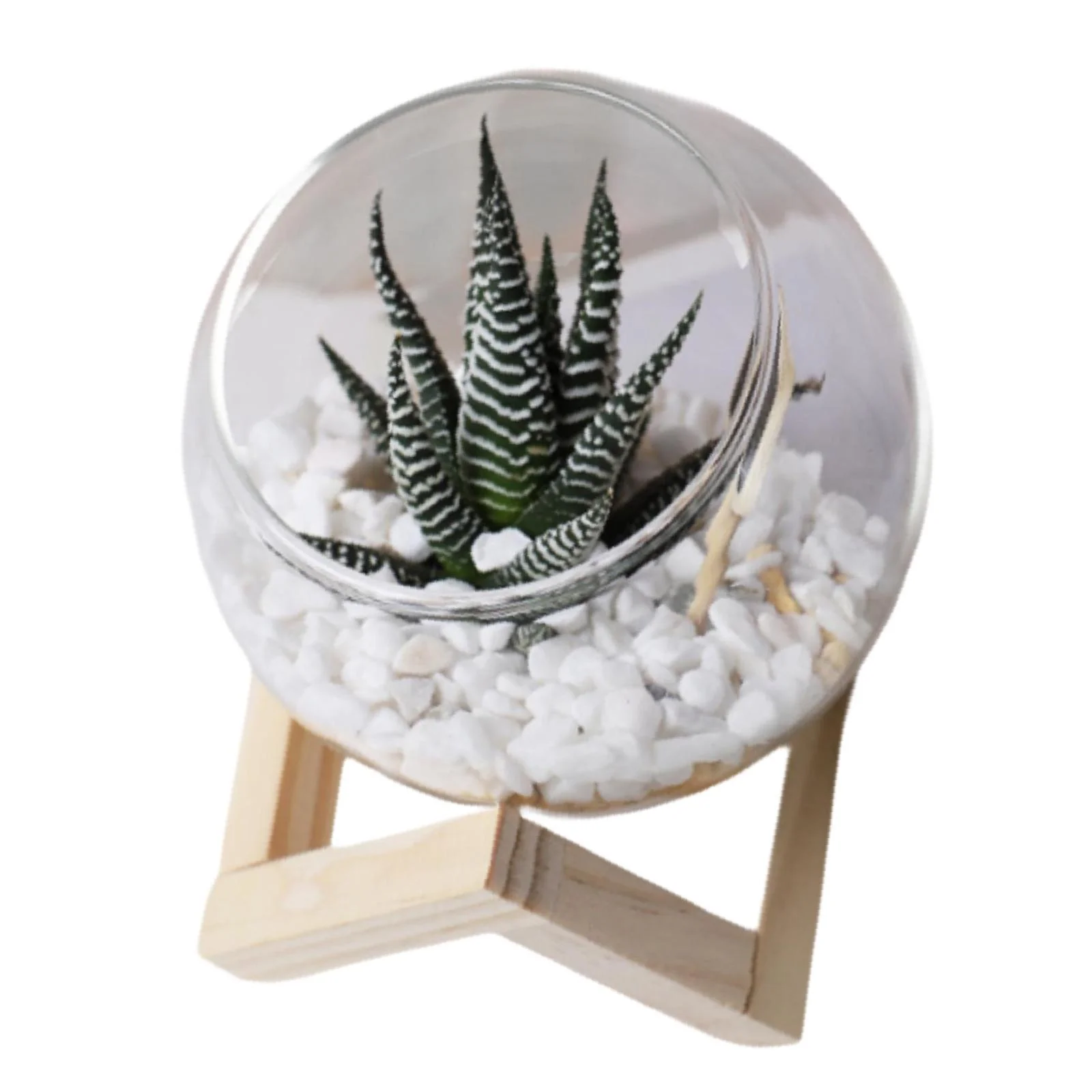 SunniMix Glass Flower Pot Horticultural Cute Pot for Office Balcony Yard 12cm