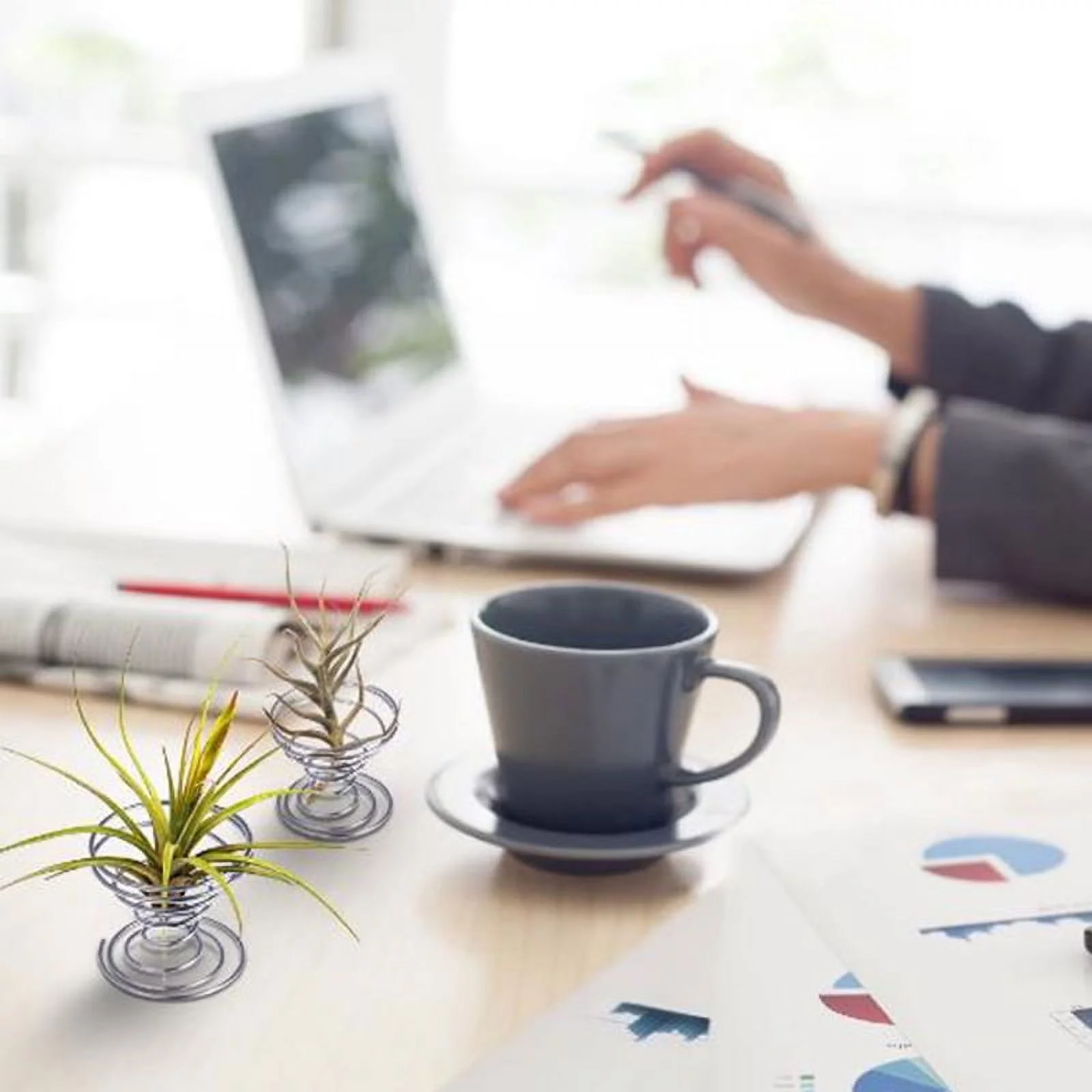 6 Pcs Flower Pot Stainless Steel Air Plant Stand Container Tillandsia Holder