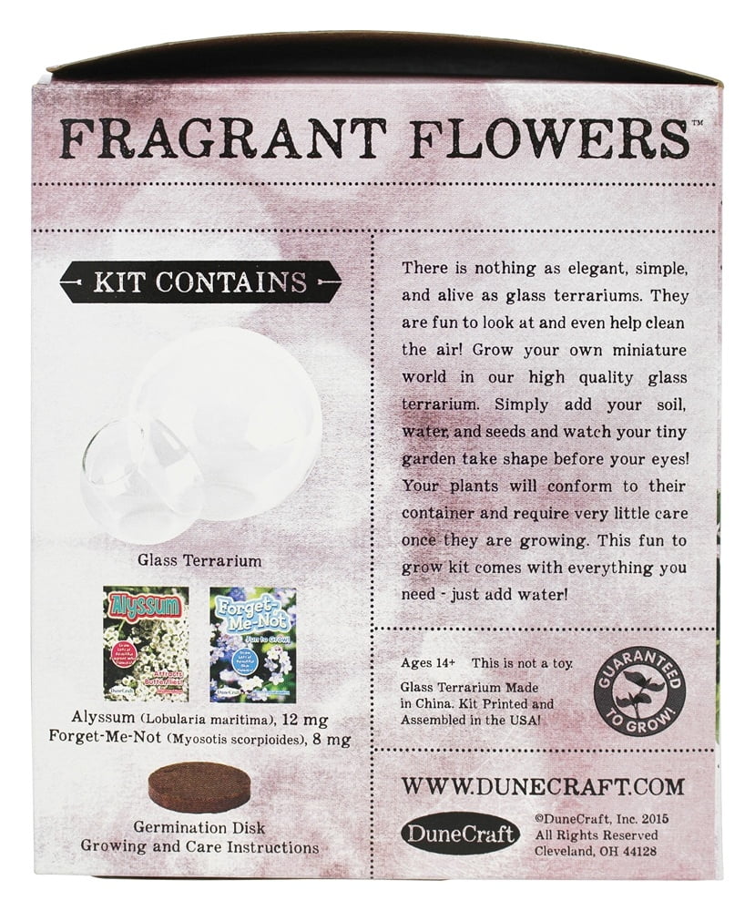 Double Bubble Glass Terrarium: Fragrant Flowers