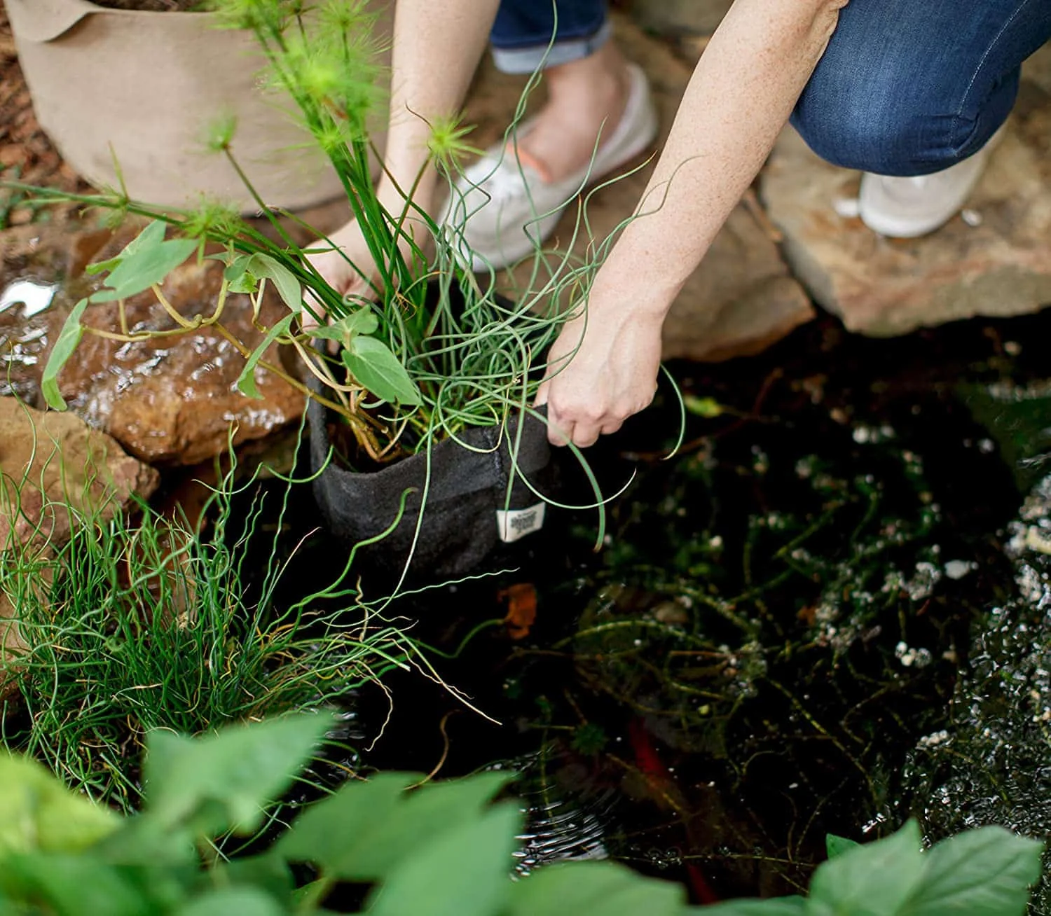 SMART POT 15 Gallon Fabric Grow Bag Pond Pot