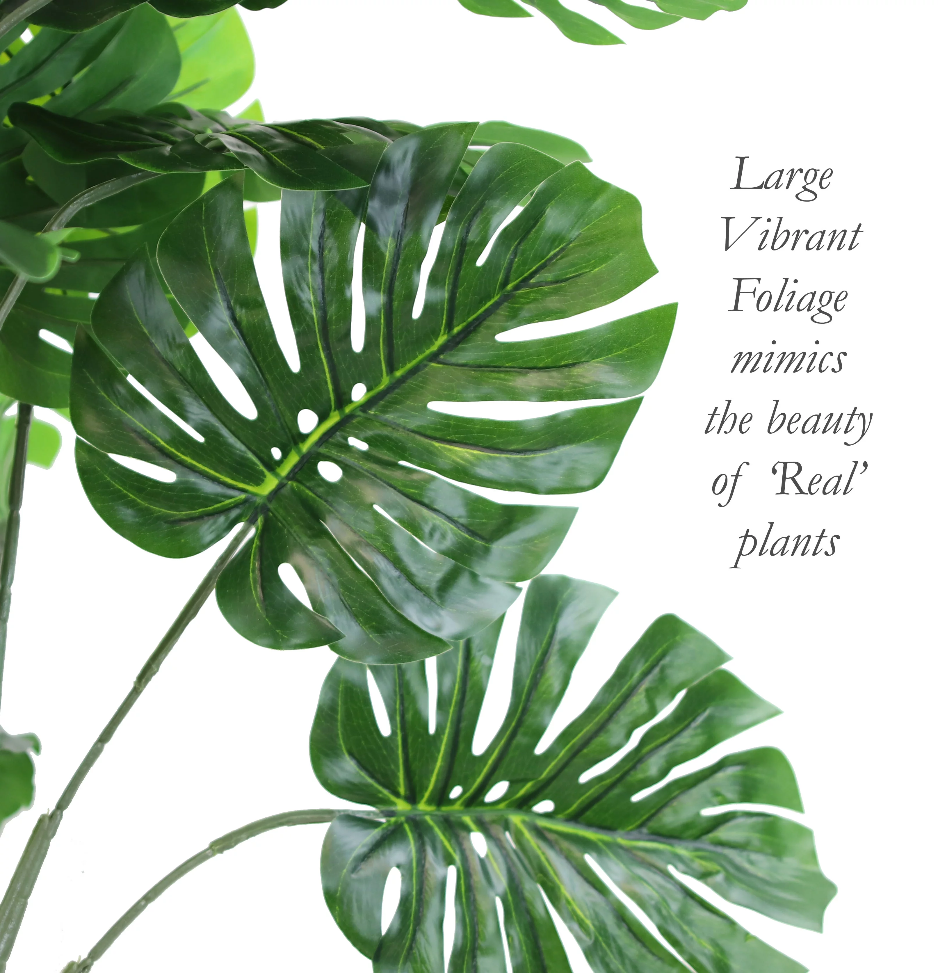 The Mod Greenhouse 27