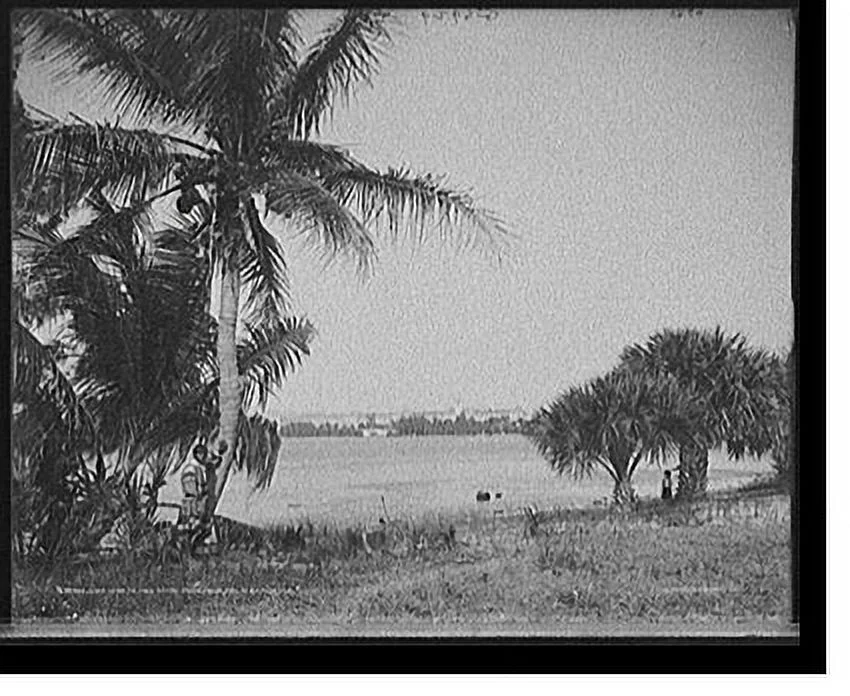 Historic Framed Print, Lake Worth and Royal Poinciana, Palm Beach, Fla., 17-7/8