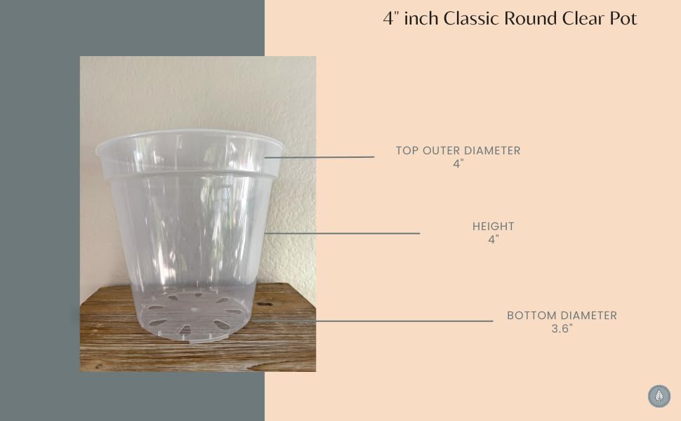 karenplantsplants™ 4