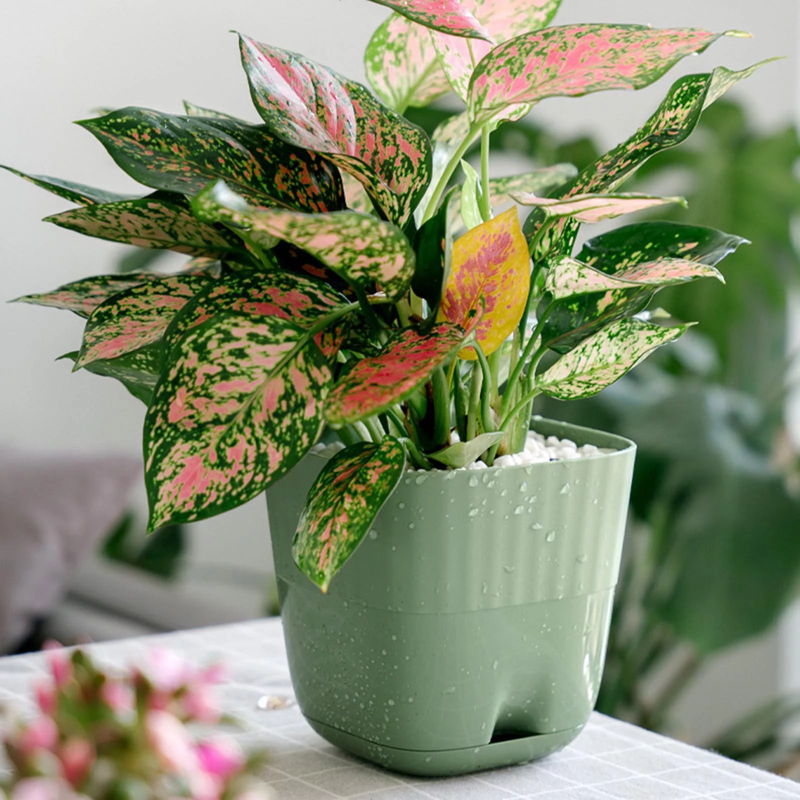 iju7gthy Flags for Outside with Pole Kit Wooden 4th of July Indoor Plants Flower Pots Plastic Planters with Multiple Holes and Trays Pots for Indoor Outdoor Plants Flower Modern Home Officer