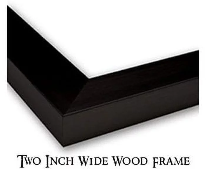 Memberships of ancient baths with stairs leading to the Gymnasium and the Theatre 36x28 Large Black Wood Framed Print Art by Giovanni Battista Piranesi