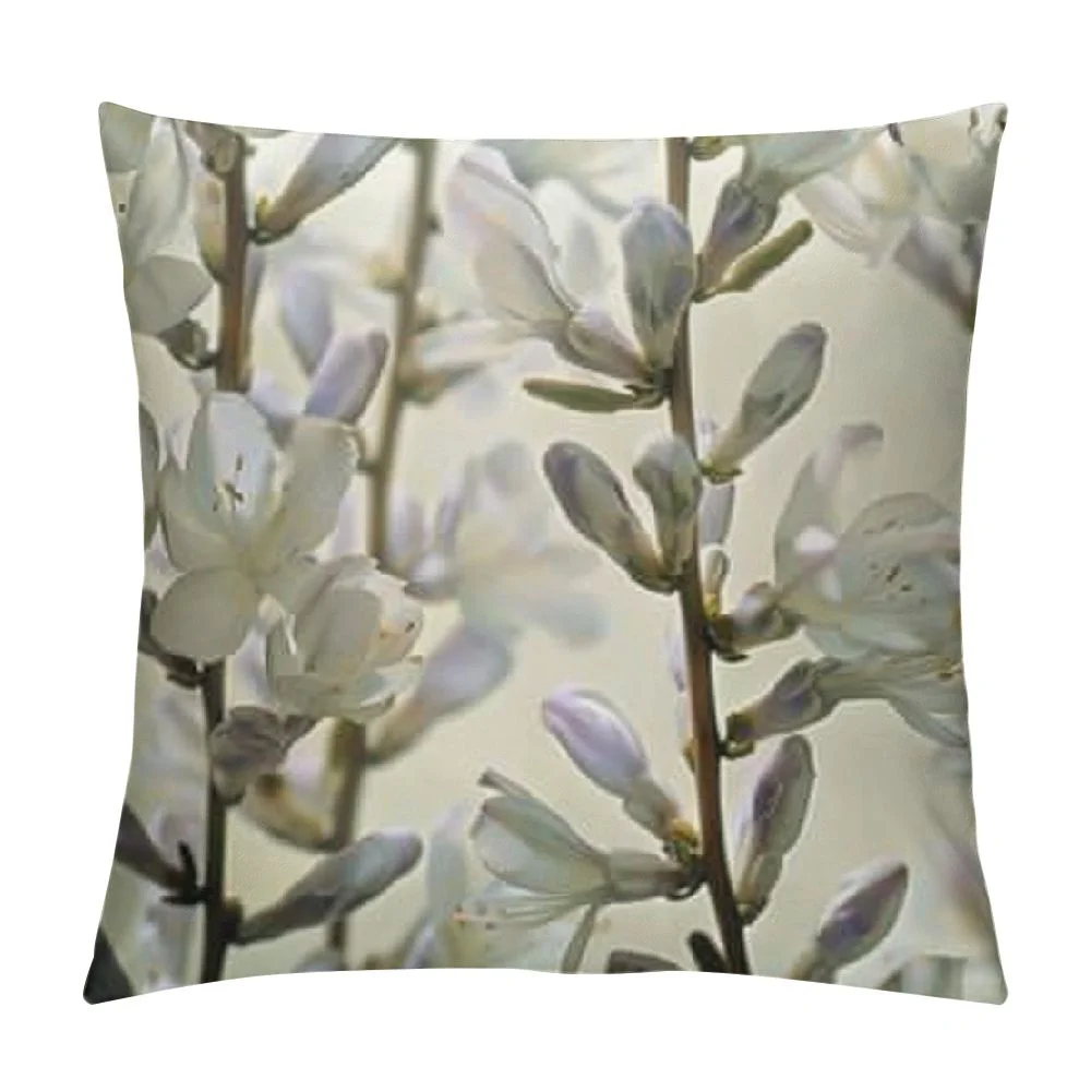 Pingxixi Throw Pillow Cover Square Pillowcase Botany Gray Watercolor willow Pattern Spring Catkin Willow Nature Branch Tree Twig April Zippered Cushion Pillow Case Home Decor White