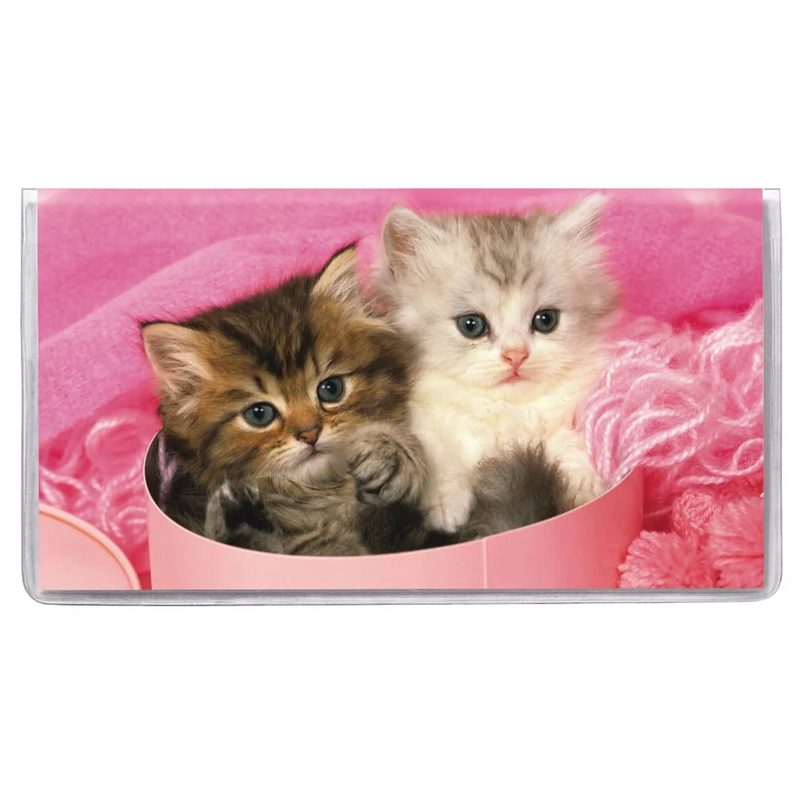 Kitten 2 Year Planner - Pocket Sized Calendar Ideal for Purses, Briefcases, or Backpacks – 6 ¾ inches x 3 5/8 inches