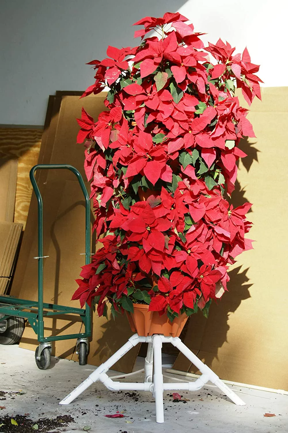 Strawberry and Herb Garden Planter - Stackable Gardening Pots with 10 Inch Saucer