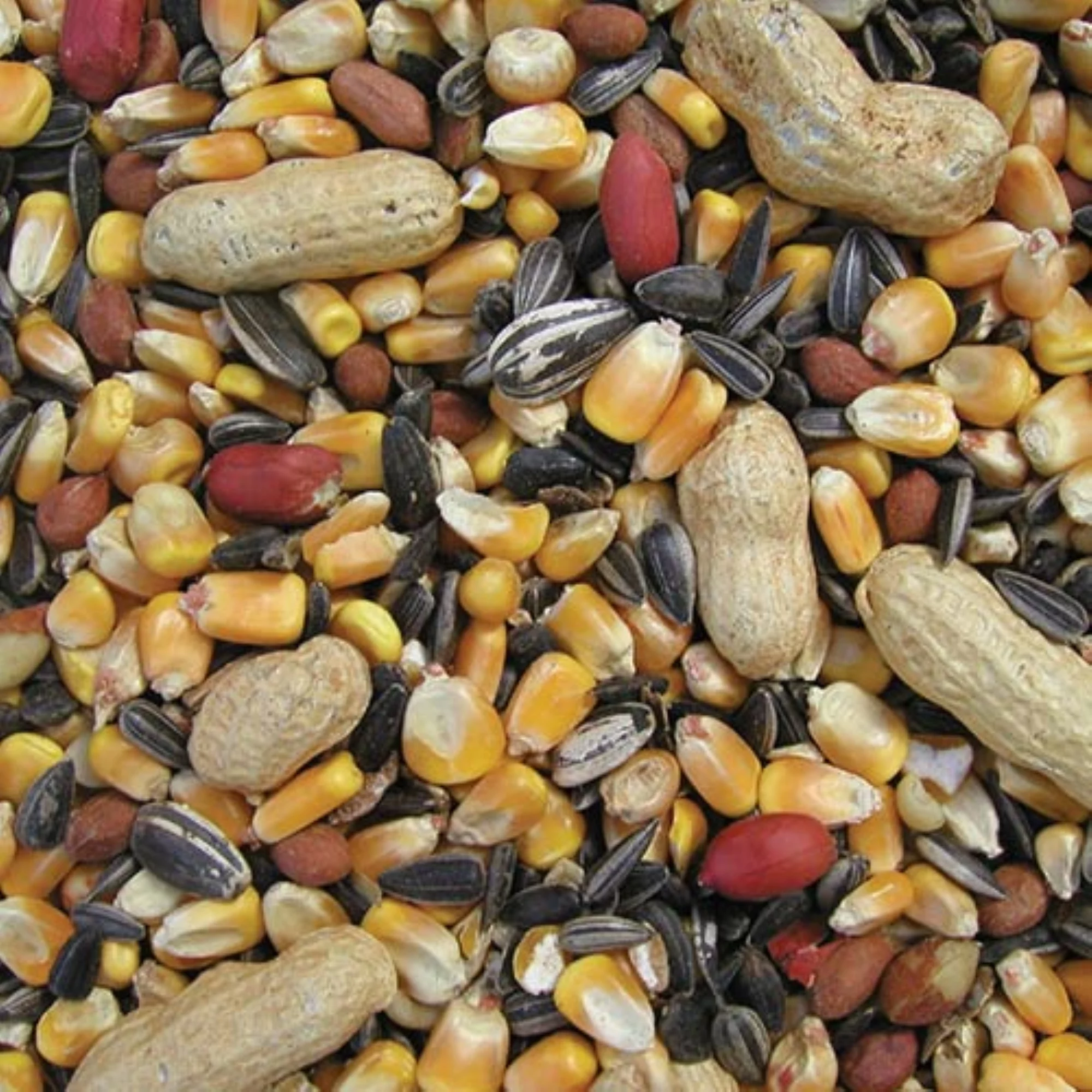 Cole's Critter Munchies Assorted Species Corn Squirrel and Critter Food 5 lb