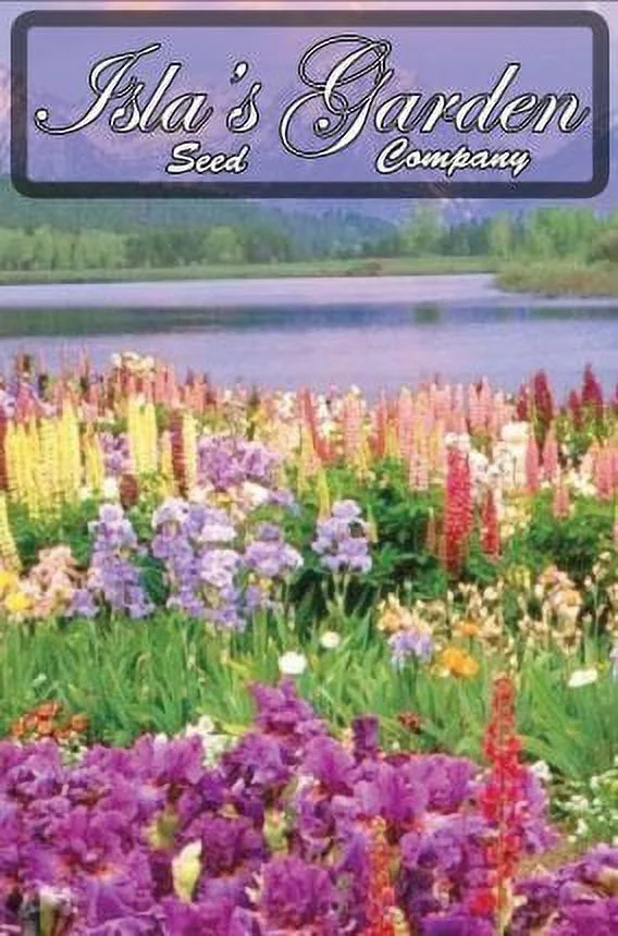 Baby's Breath Flowers, 2000 Heirloom Flower Seeds Per Packet, Non GMO Seeds, Isla's Garden Seeds