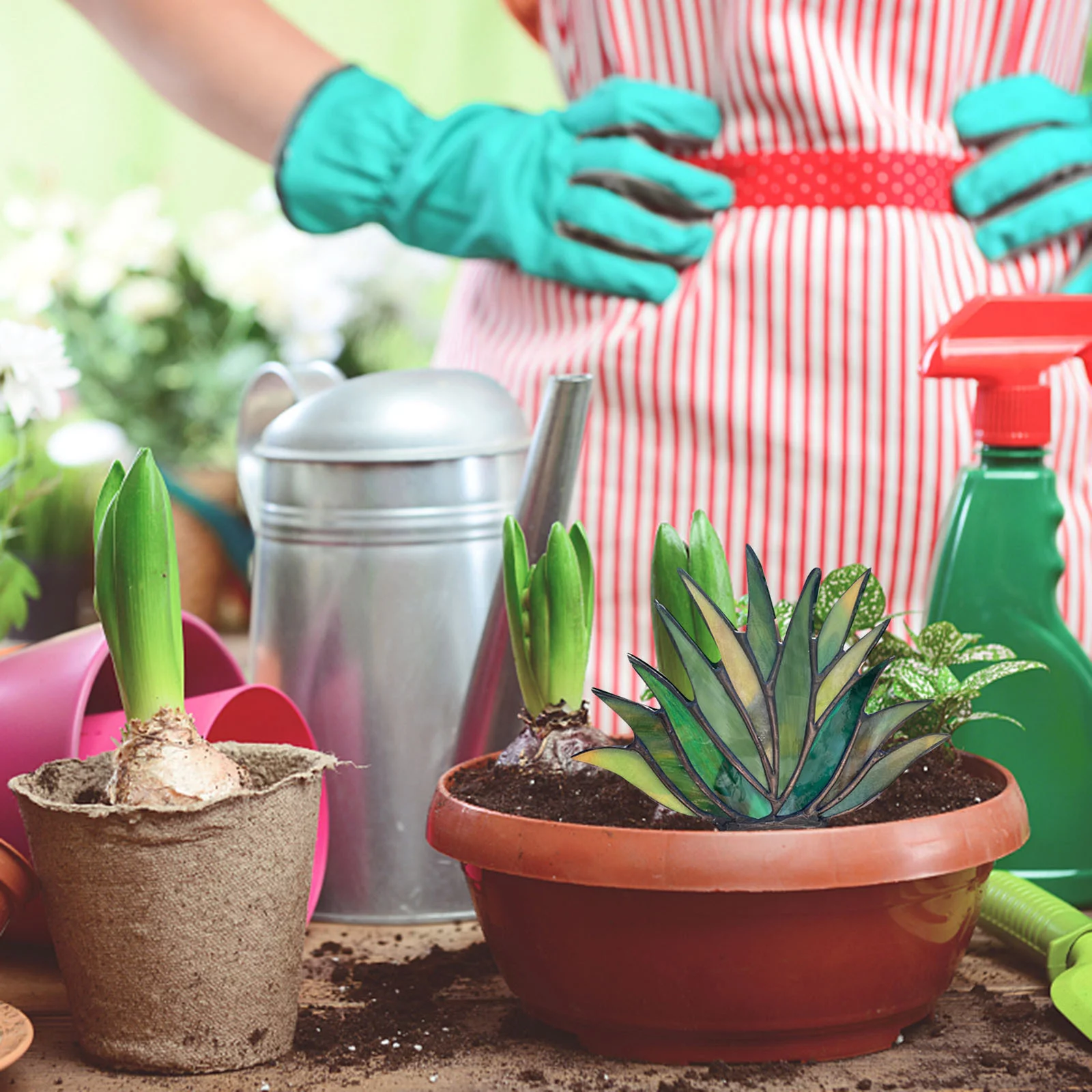 MtsDJSKF Soy Candles for Home Scentedature Stained Acrylic Lovely Agaves Aloe Potted in Ceramic Stained Agaves Aloe Potted in Terra Cotta Planter Pot *6Pcs