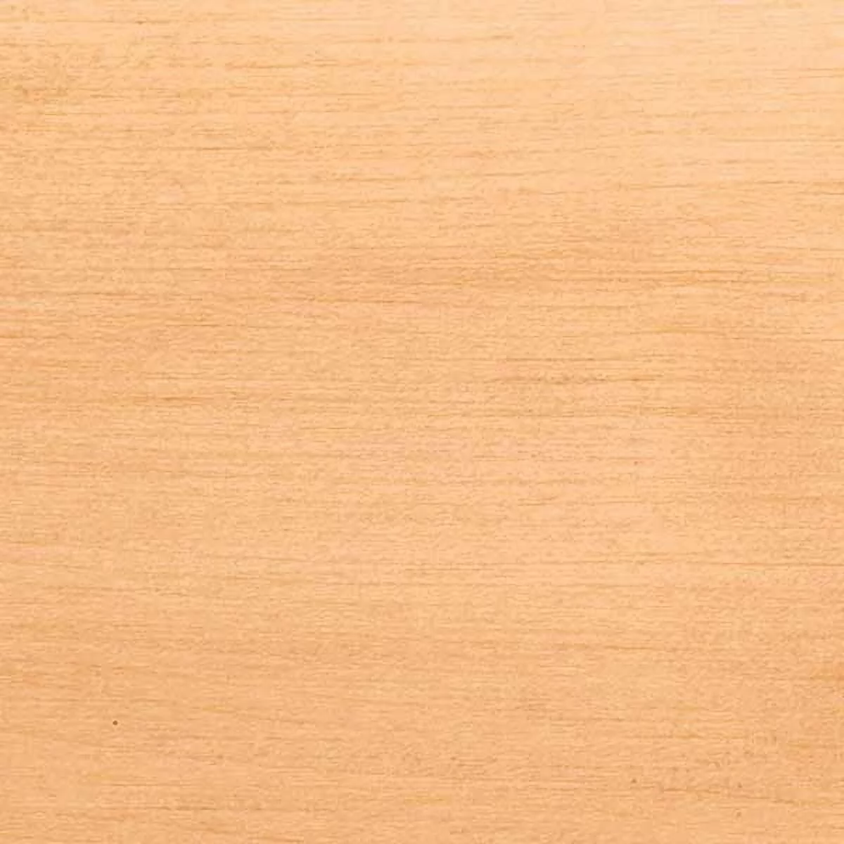 Woodcraft Carving Stock Basswood 3/4