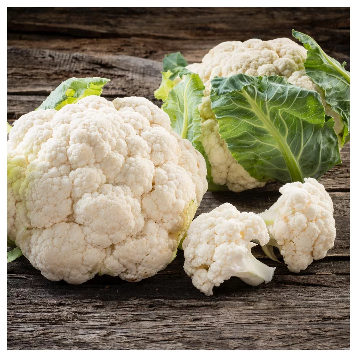 Everwilde Farms - 500 Snowball Self Blanching Cauliflower Seeds - Gold Vault Jumbo Bulk Seed Packet