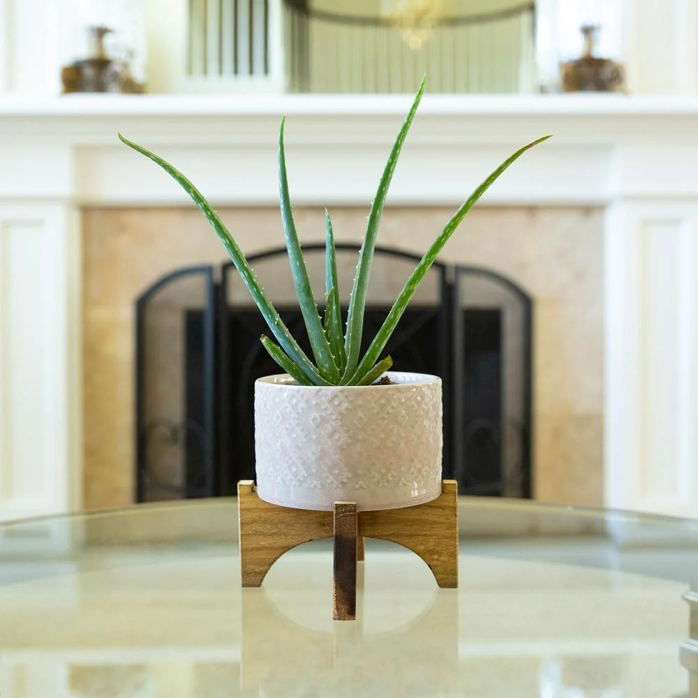 5 In. Pink India Ceramic Planter On Wood Stand Mid-Century Planter