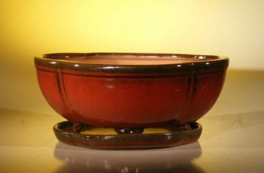 Parisian Red Ceramic Bonsai Pot - Oval / Lotus Shaped Professional Series With Attached Humidity/Drip tray 10.75 x 8.5 x 4.125