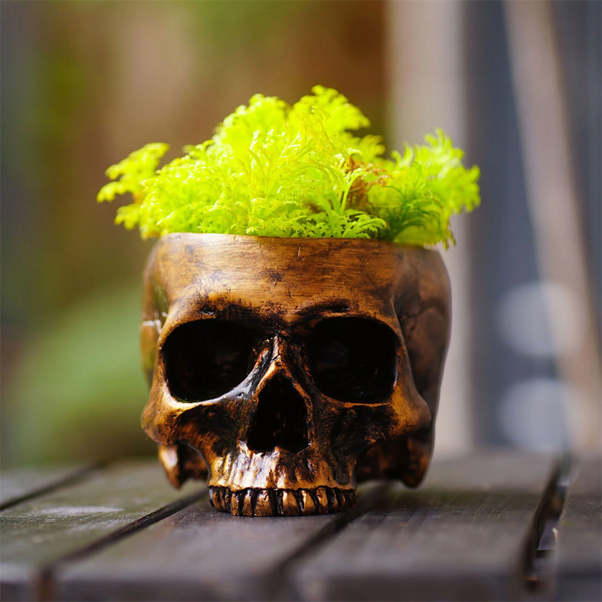 Votuleazi Halloween Skull Decor, Resin Horror Skull Potted Plant Pot Pen Holder Creative Storage Box for Halloween Party