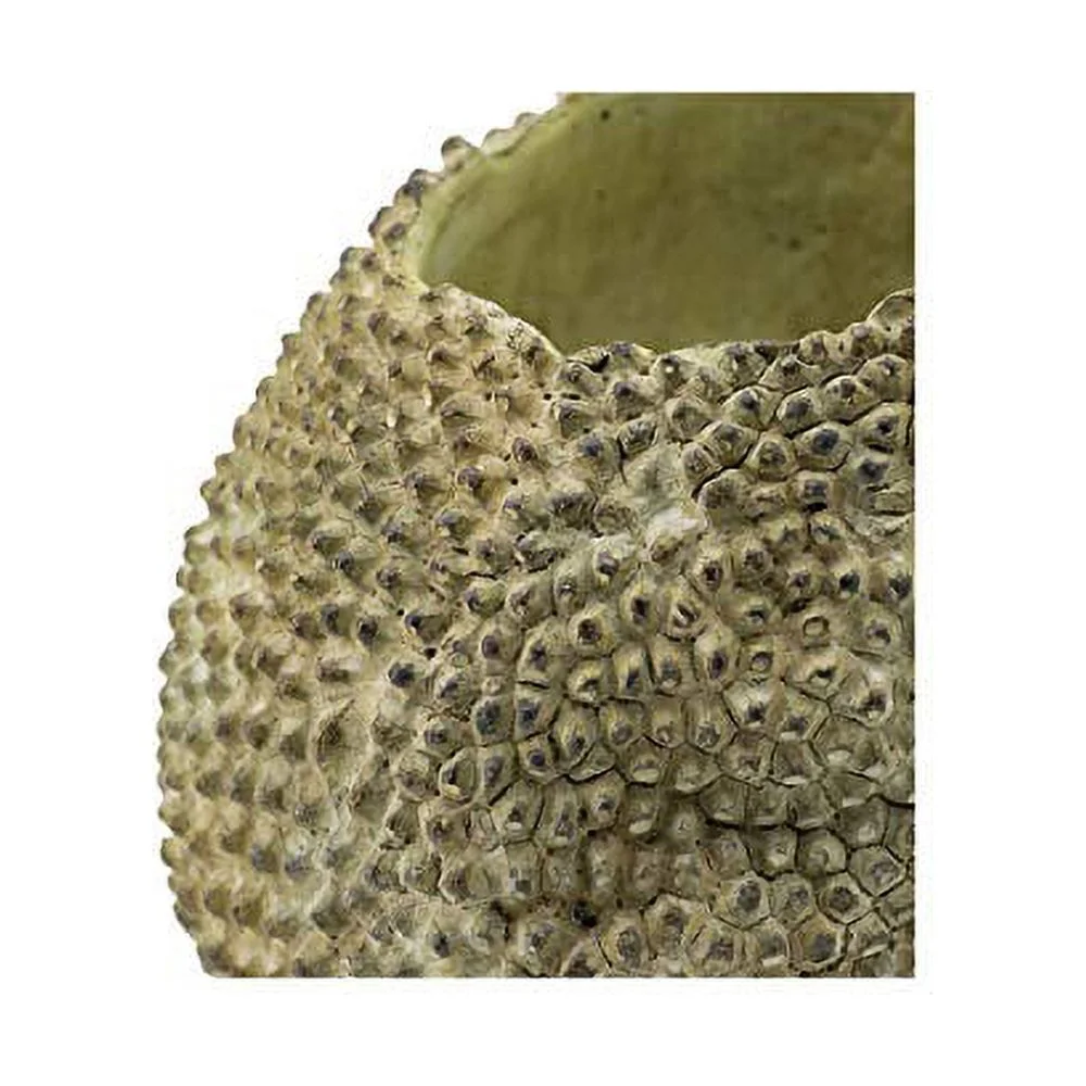 A&B Home 6-inch Light Green Jackfruit Outdoor Planter