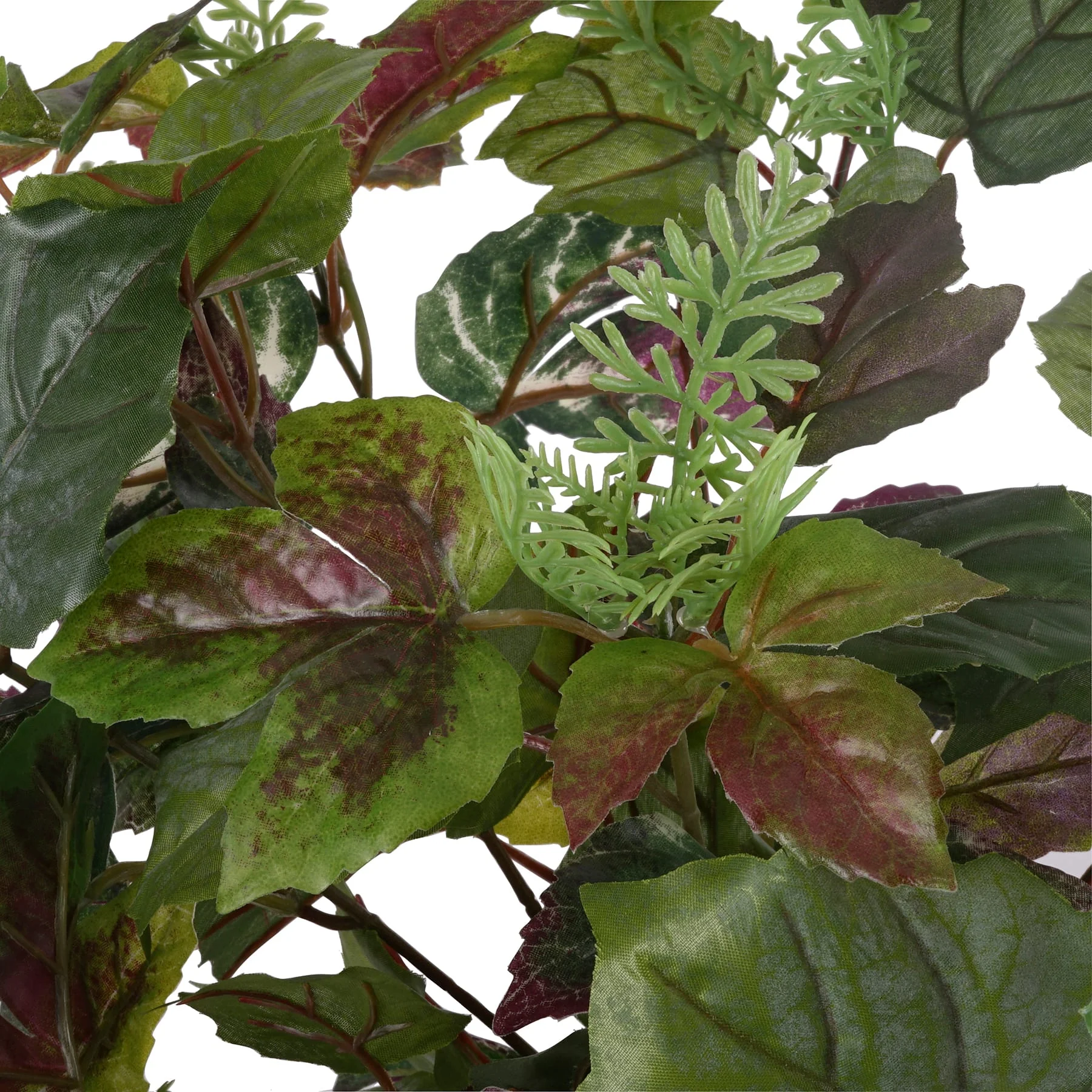 Green & Purple Hanging Cottonwood Bush by Ashland®