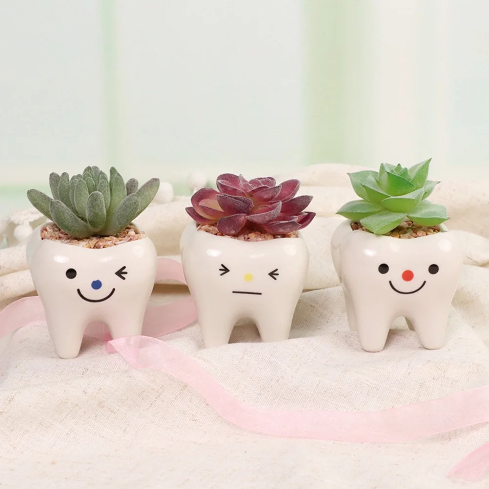 3pcs Teeth Shaped Plant Pots Small Ceramics Flowerpot Succulents Bonsai Planter Pots