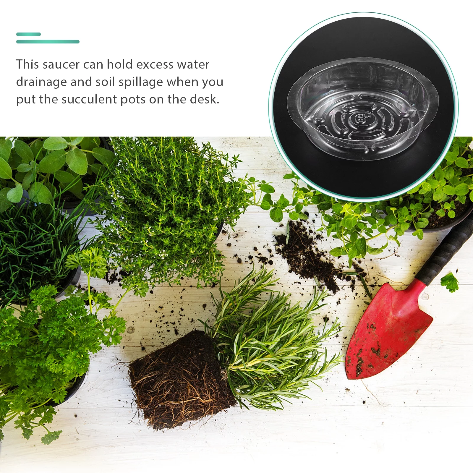 Guichaokj 25Pcs Plastic Plant Flowerpot Saucers Planting Pot Holder Planter Drainage Trays