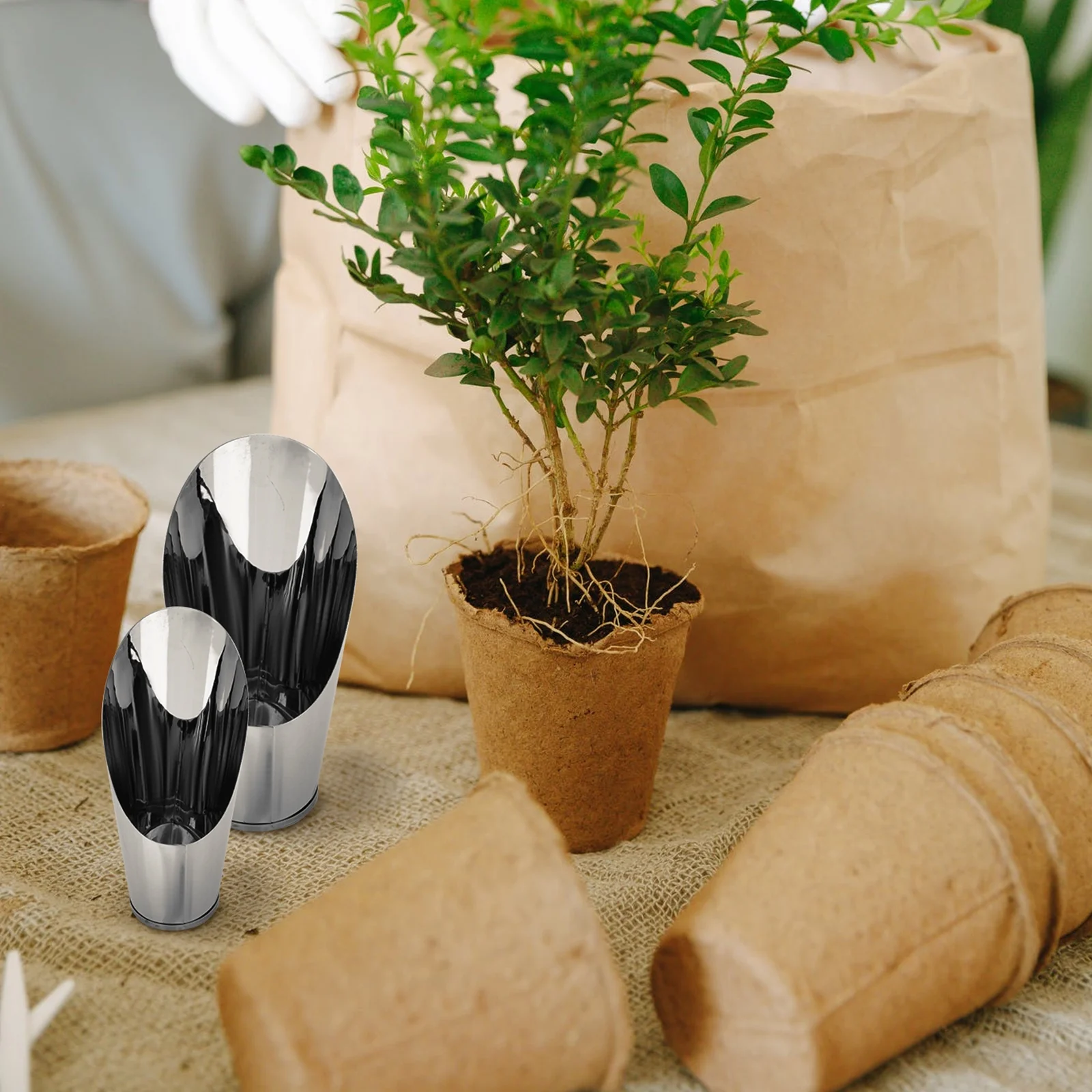 Stainless Steel Shovel Gardening Trowel Spoons Soil Scoop Child 3 Pcs Earrings Plants Pots Indoor The Tools Planter