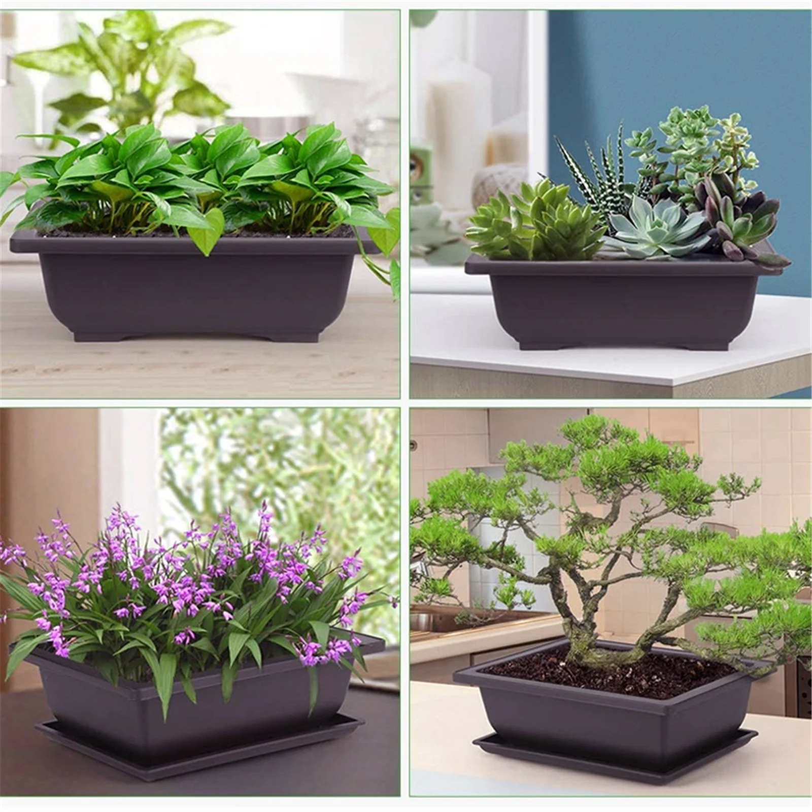 Jierger Bonsai Pot about 6.5 Inches 6 Packs Rectangle Bonzai Training Pots with Drainage Trays Plastic Flower Pot Humidity Trays Square Potted Planter Pot for Living Room Yard Garden Indoor Balcony