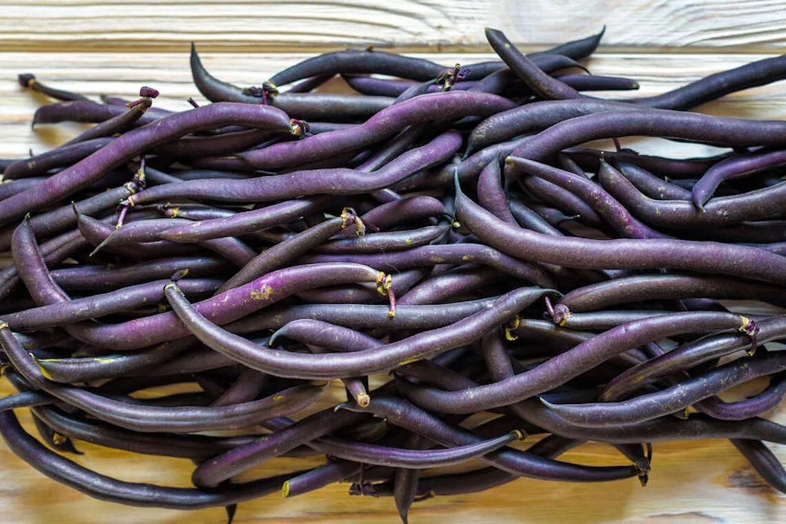 100 Vegetable Seeds -Royal Purple Pod Bush Bean Seed
