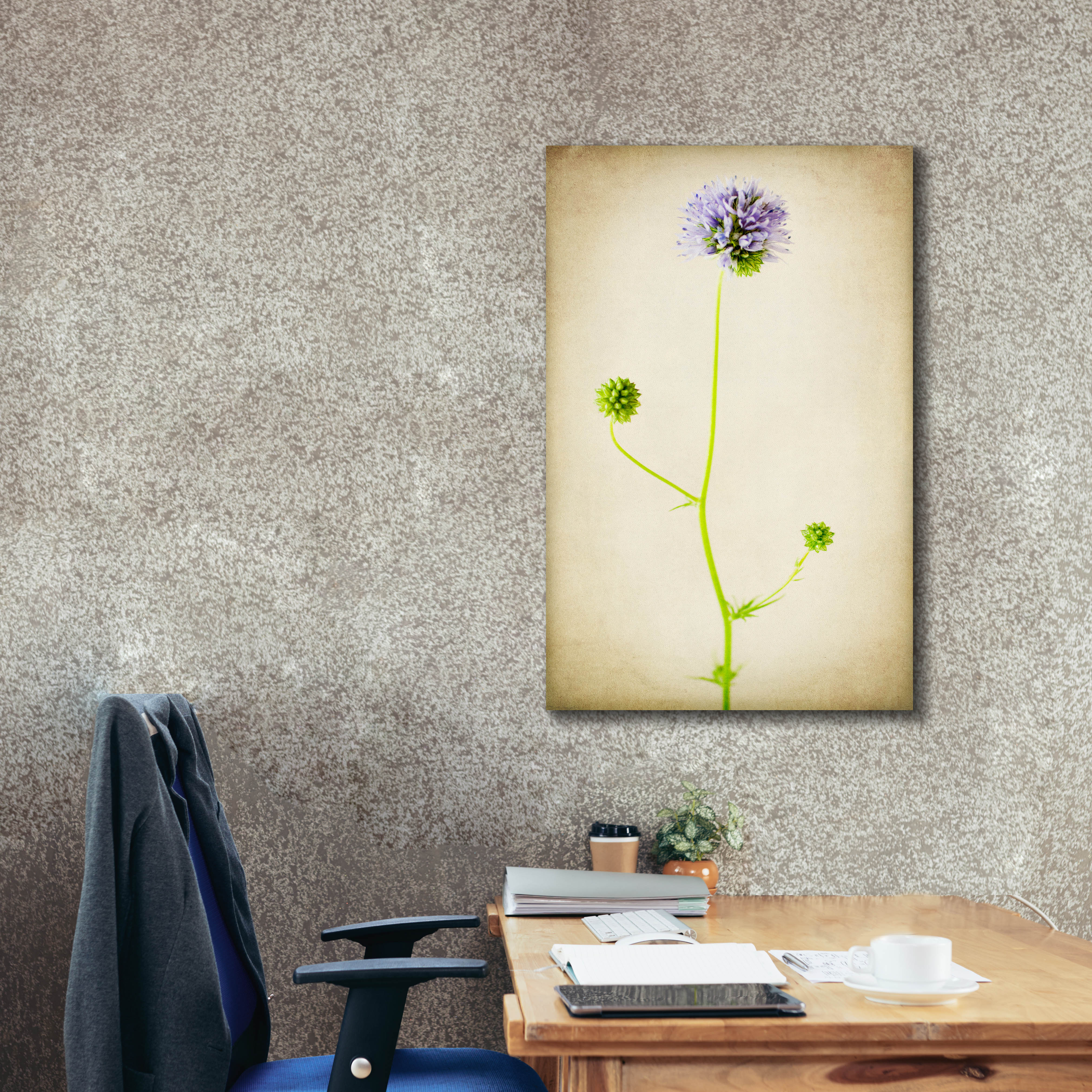 Epic Graffiti 'Globe Gilia' by Jessica Rogers, Canvas Wall Art, 26