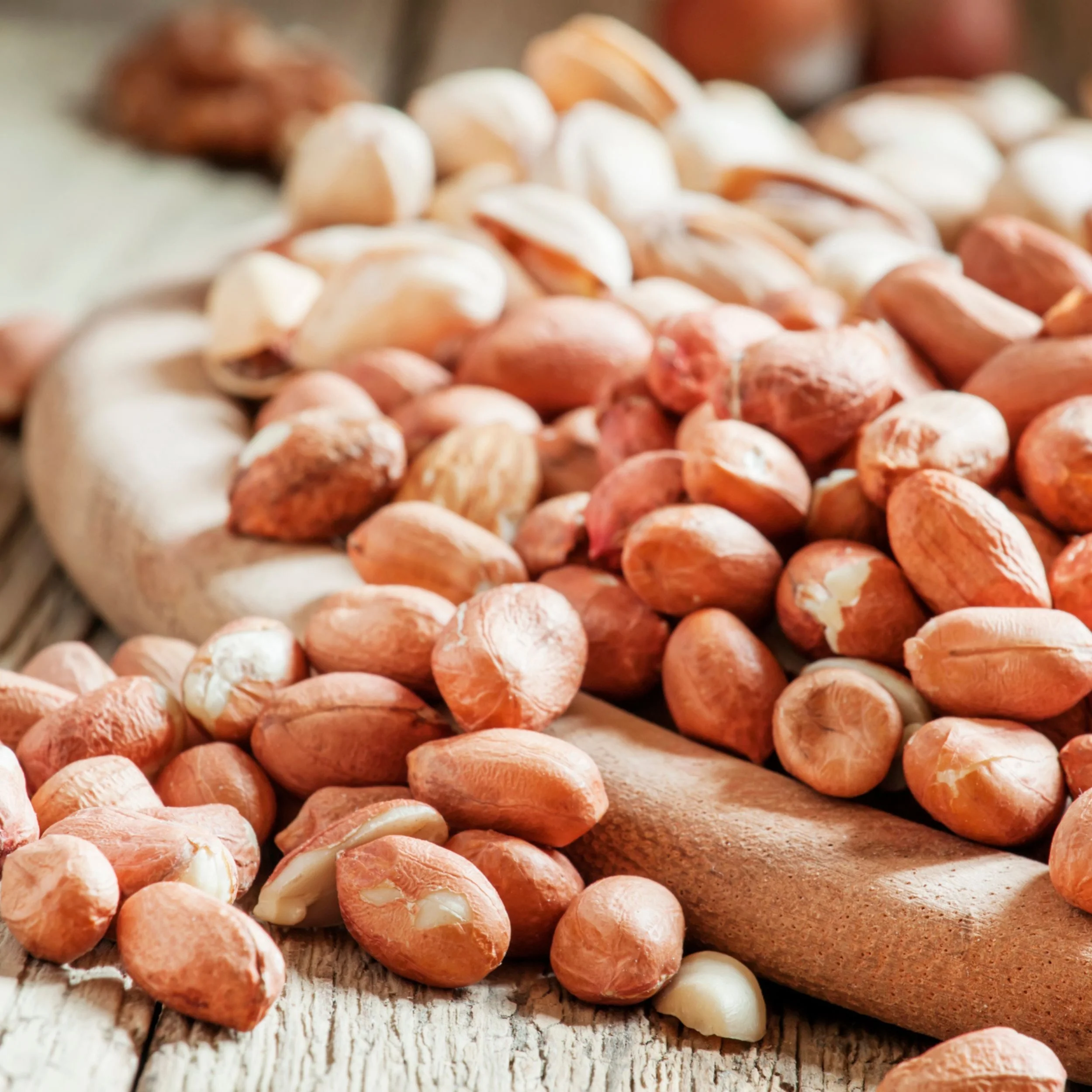 Bulk Hazelnuts With Skins 10 Pound Wholesale Box