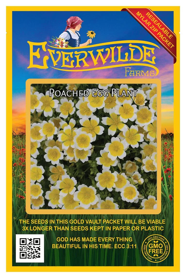 Everwilde Farms - 100 Poached Egg Plant Native Wildflower Seeds - Gold Vault Jumbo Bulk Seed Packet