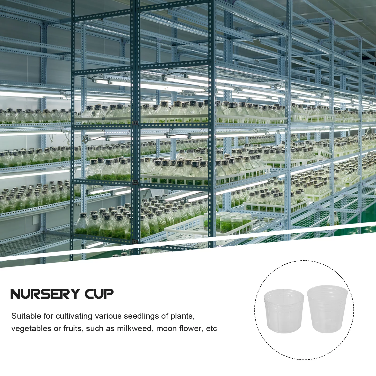 Containers with Lids Seedling Plant Pot Planter Nursery 50 Set Phalaenopsis Cup Flowerpot Cups Small Pots White