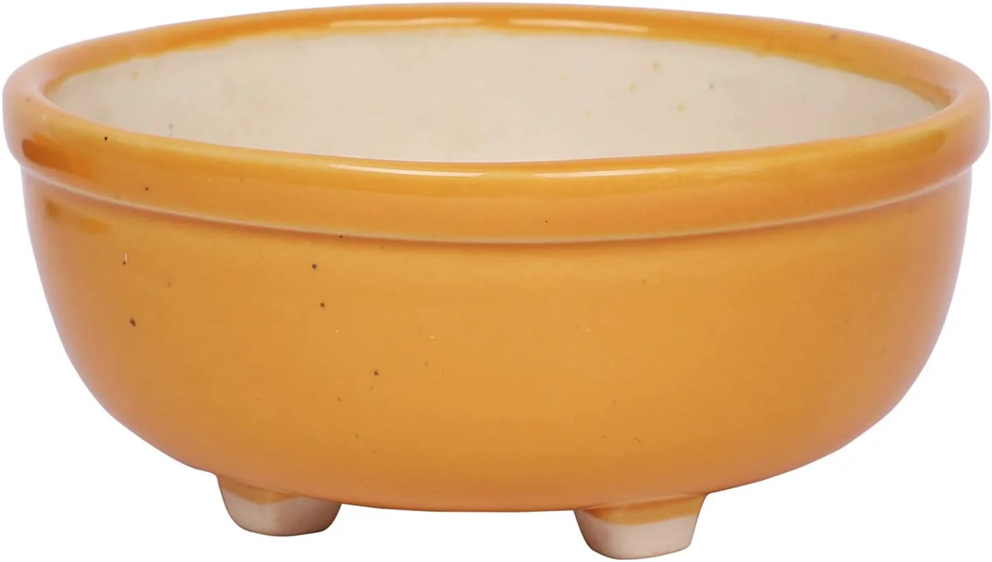 India Meets India Ceramic Bowl Leg Planter [Orange], Decorative Planter for Home Décor/Living Room/Office/Table Top/Dining Area and Windowsill Décor, 7 x 3 inches