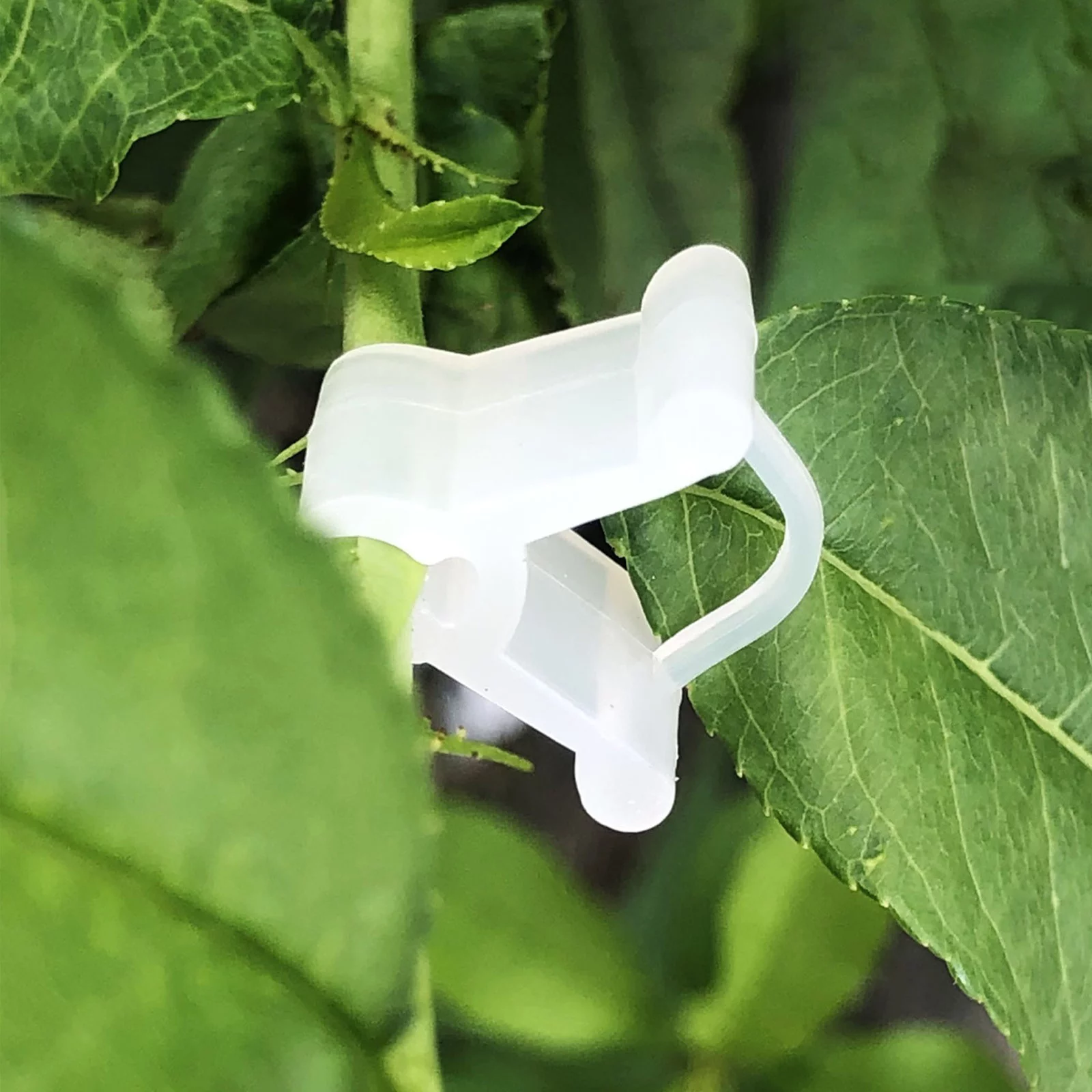 100PCS Clips Gardening Supplies Garden Grafting Clip Tomato Seedling Grafting Clip Eggplant Grafting Clip