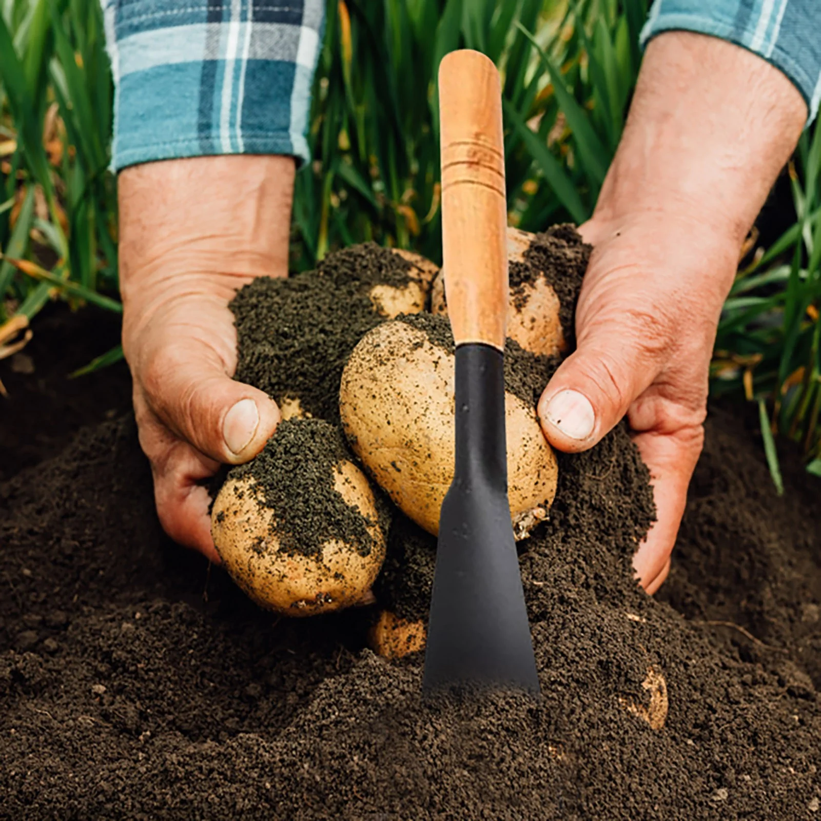 Small Shovel Garden Art Digging Wild Vegetables Shovel Garlic Flowers And Flower Raising Tools By The Sea Agricultural Vegetable Tools Succulent Asparagus