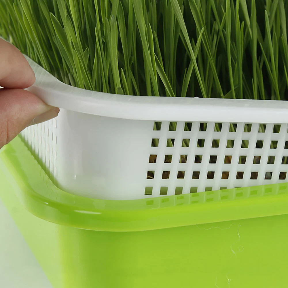 Style That Baby Seed Sprouter Tray Seed Sprouter Tray Seed Sprouter Tray Double Layer Soilless Tray Germination
