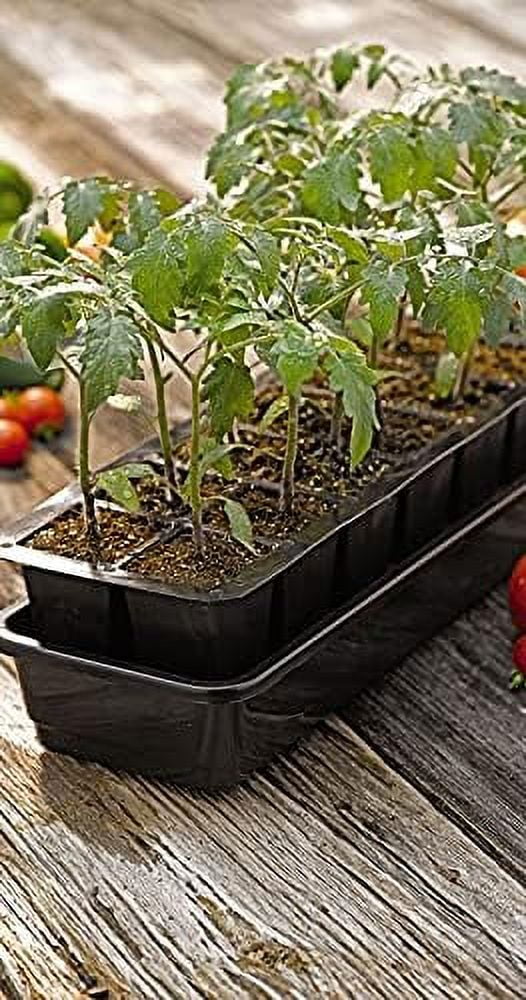Growease Seed Starting Self Watering Tray |12-Cell Seedling Tray With Capillary Mat, Water Reservoir & Germination Dome | Indoor Greenhouse Gardening Kit