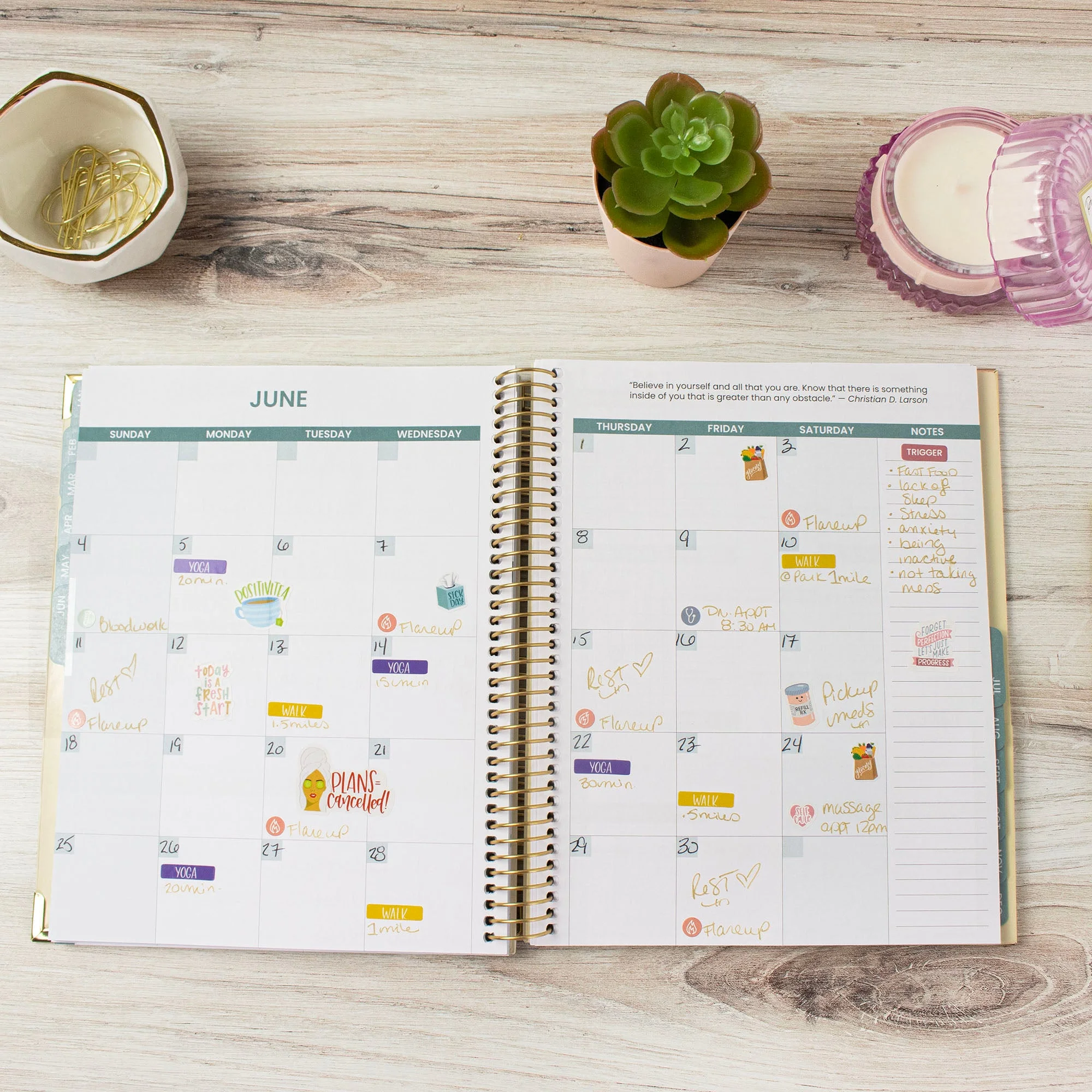 bloom daily planners Chronic Illness Planner, You Are Stronger Than You Think