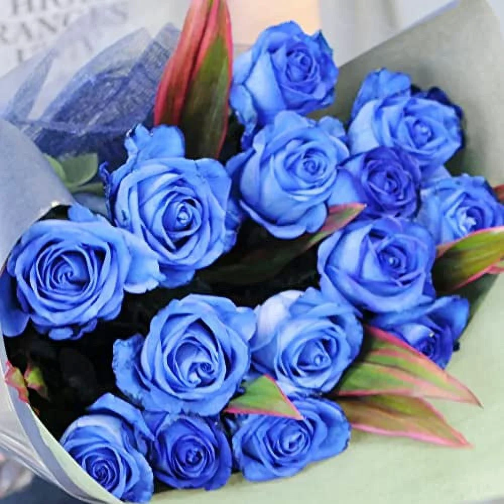 Blue Climbing Rose Fragrant Attracts Butterflies & Bees Cut Flowers Showy Trellises Pergloas Fences Wall-Side Outdoor 5Pcs Flower Seeds by YEGAOL Garden