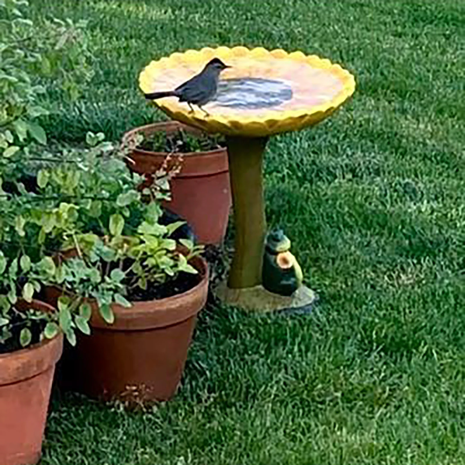 SIfdSeng Graduation Centerpieces for Tables Maroon Resin Birdbath Polyresin Antique Garden Bird Bath for Home Garden Yard Dining Room Table Centerpiece Black