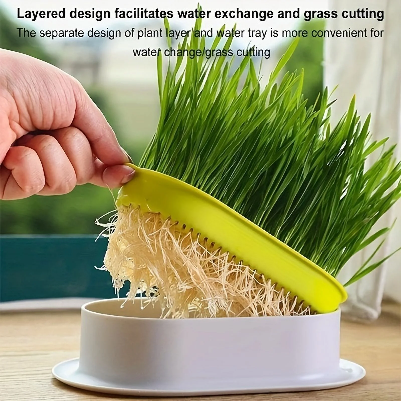 Pet Cat Sprout Dish Growing Pot Hydroponic Plant Cat Grass Germination Digestion Starter Dish Greenhouse Grow Box (No Seeds)