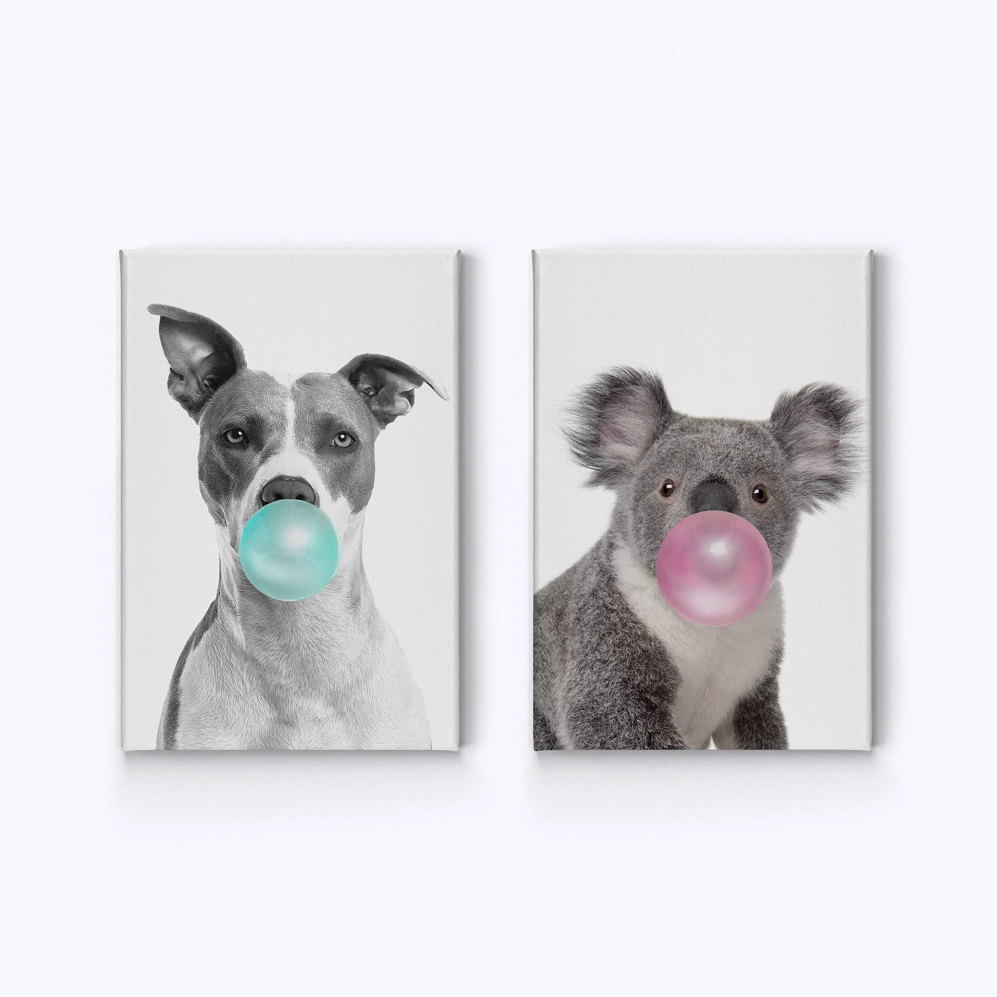 Smile Art Design Pitbull Dog and Koala Animal Bubble Gum Art 2 PANEL CANVAS PRINT SET Pink Blue Gum Black and White Wall Art Home Décor Living Room Kids Room Nursery Ready to Hang Made in USA 22x15